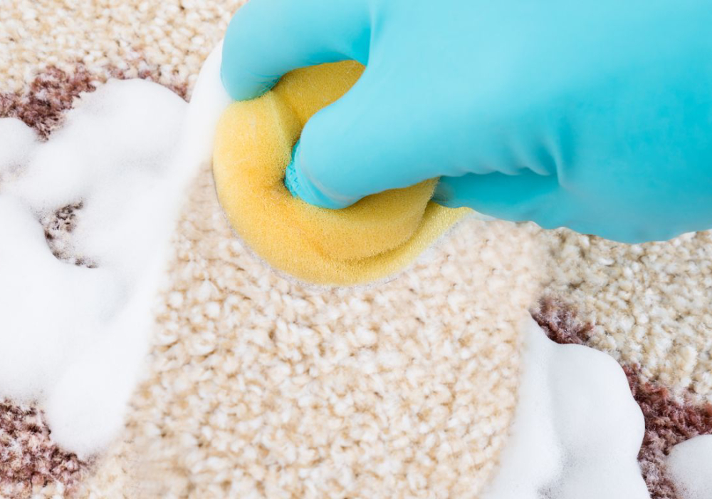 بهترین شوینده موکت؛ راهنمای تخصصی تمیزکردن انواع موکت پالاز