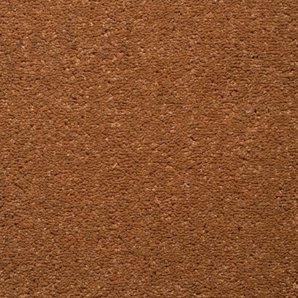 موکت کات بی کرم شکلاتی پالاز (کد 5526)