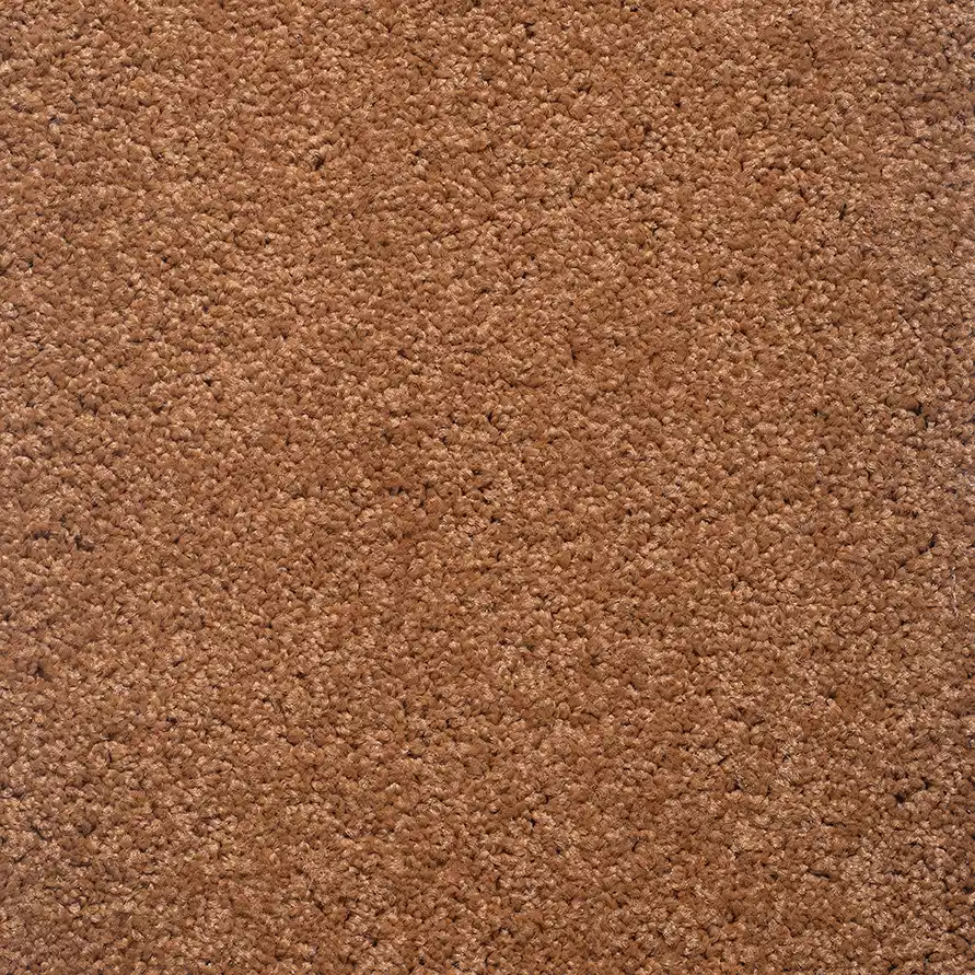 موکت یاسمن شتری پالاز کد 5564