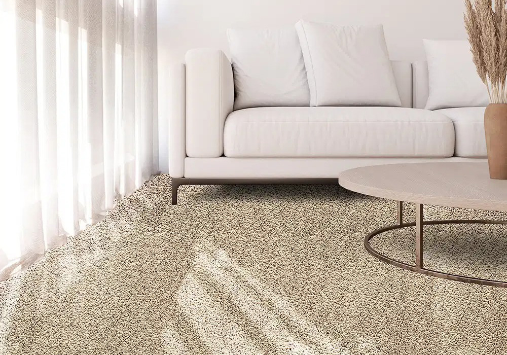 10 راهکار حرفه‌ای برای افزایش عمر موکت خانه | راهنمای تخصصی نگهداری از موکت‌های پالاز موکت