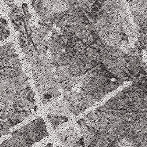 موکت دالیا طوسی پالاز (کد 9718)